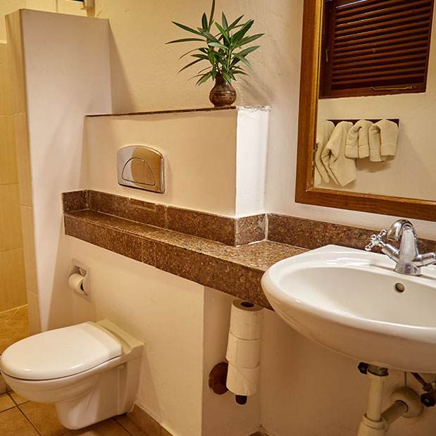 Executive Room Bathroom